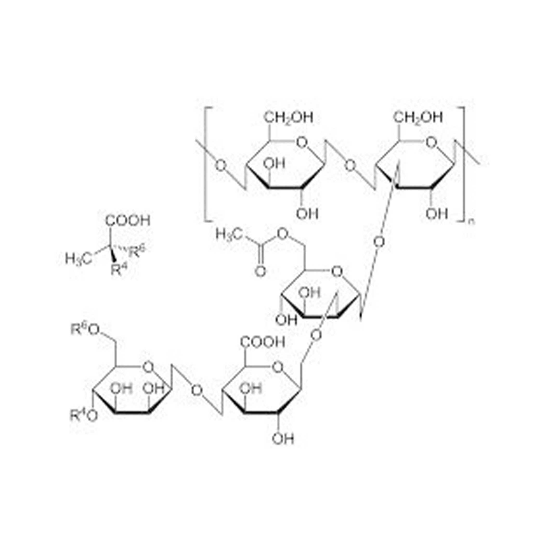 Xanthan Gum, NF (Fine Powder)