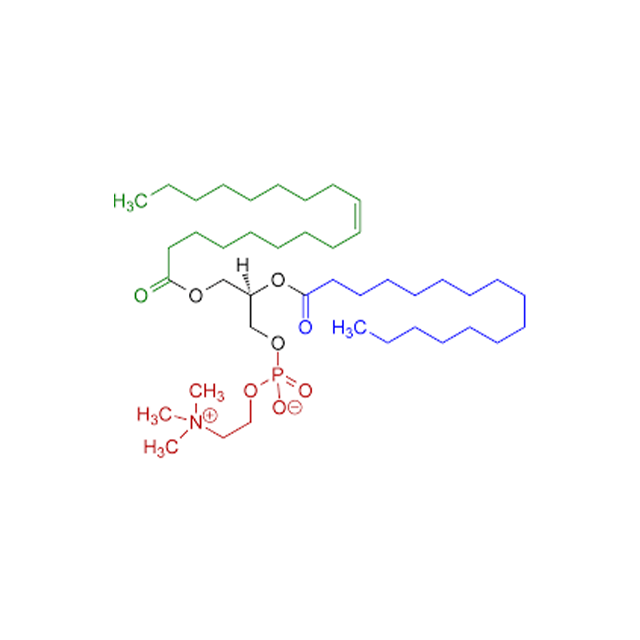 Lecithin, Fine Powder (Sunflower)